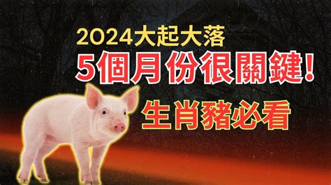 2024年屬豬運勢